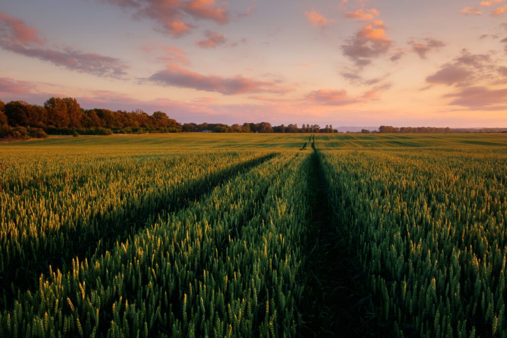 agroindustria